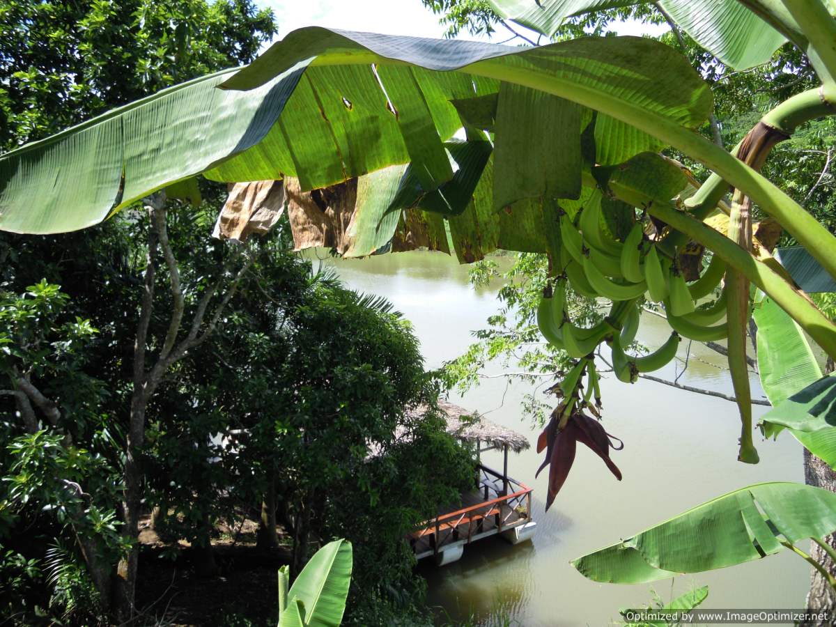 View of the Chavon from the farm