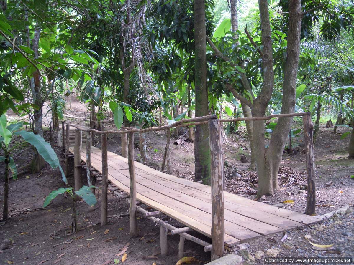farm on the river chavon
